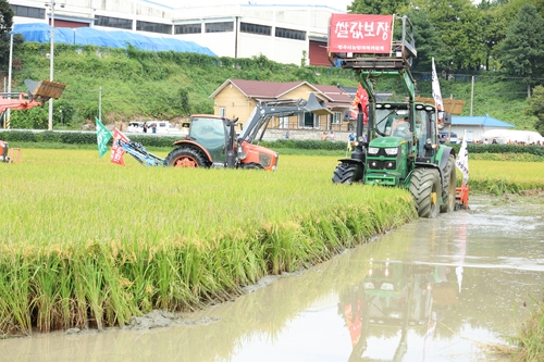 논 갈아엎는 농민들[이성민 촬영]