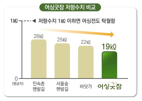 어싱굿잠 저항수치 비교